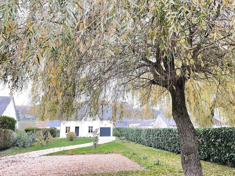 Havre De Paix Spa Proche Amboise & Chateaux De La Loire Noizay Eksteriør billede